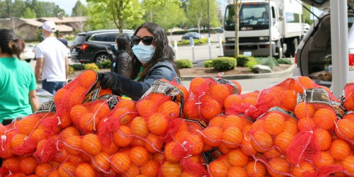 woman handing out oranges in a mask